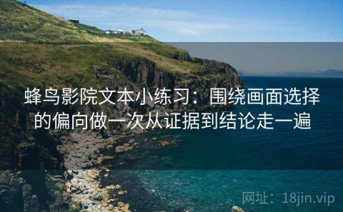 蜂鸟影院文本小练习：围绕画面选择的偏向做一次从证据到结论走一遍