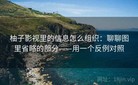 柚子影视里的信息怎么组织：聊聊图里省略的部分——用一个反例对照