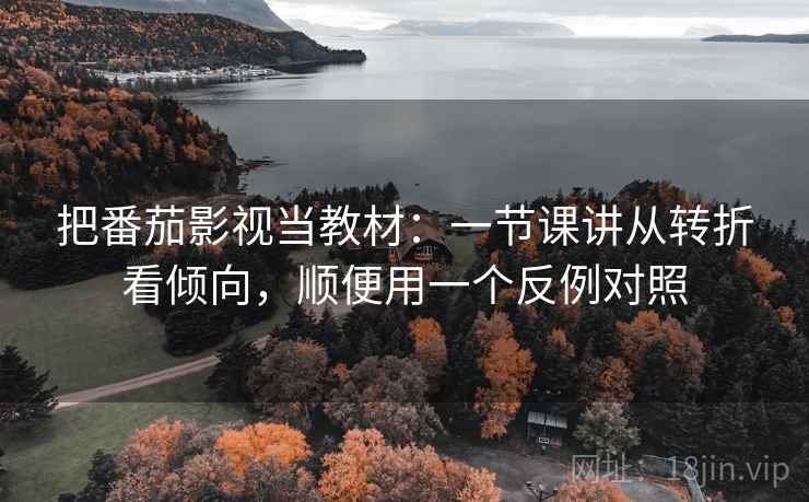 把番茄影视当教材：一节课讲从转折看倾向，顺便用一个反例对照